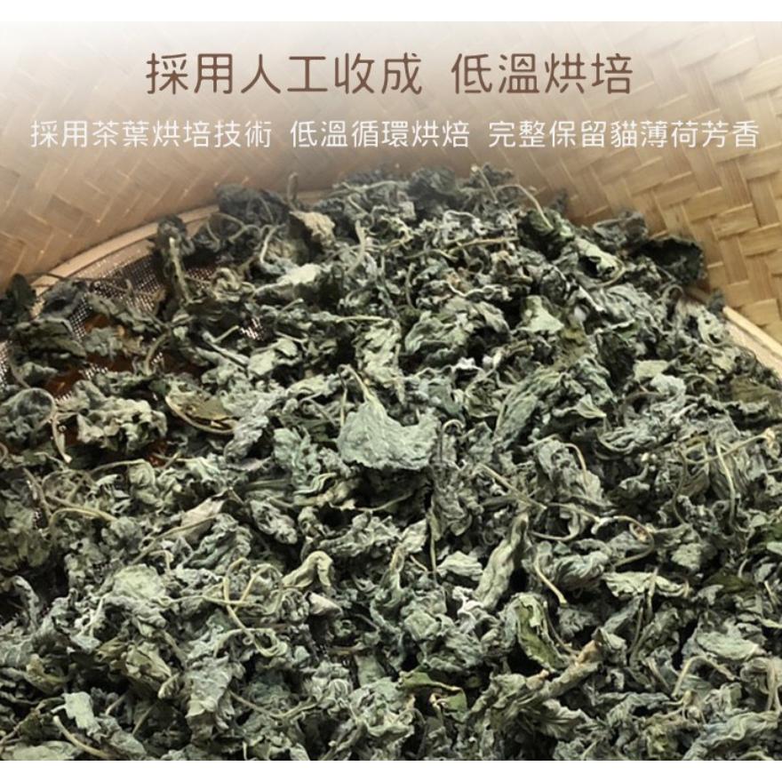 【台灣現貨】特級乾燥貓薄荷 種貓草 自嗨神器 單包裝 貓草 貓薄荷 荊芥 貓零食-細節圖3