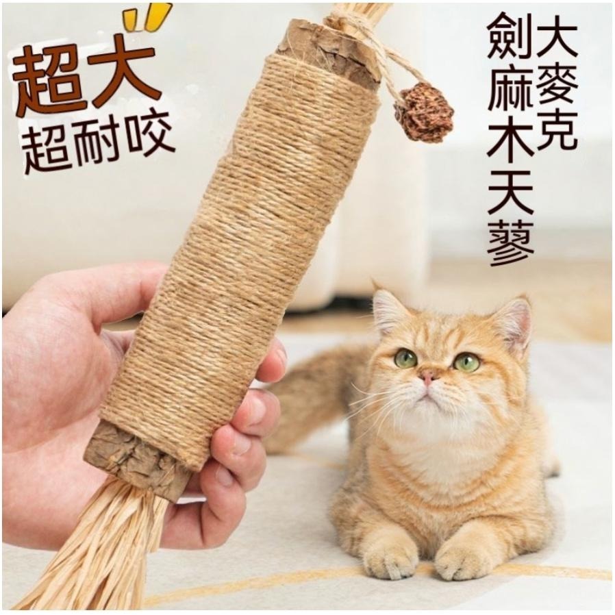 限時特賣超低價💗現貨低價貓咪木天蓼 巨無霸磨牙棒 木天蓼棒 貓咪磨牙 木天蓼 蟲癭果 貓咪口腔清潔 貓玩具 貓咪耐咬玩具-細節圖3