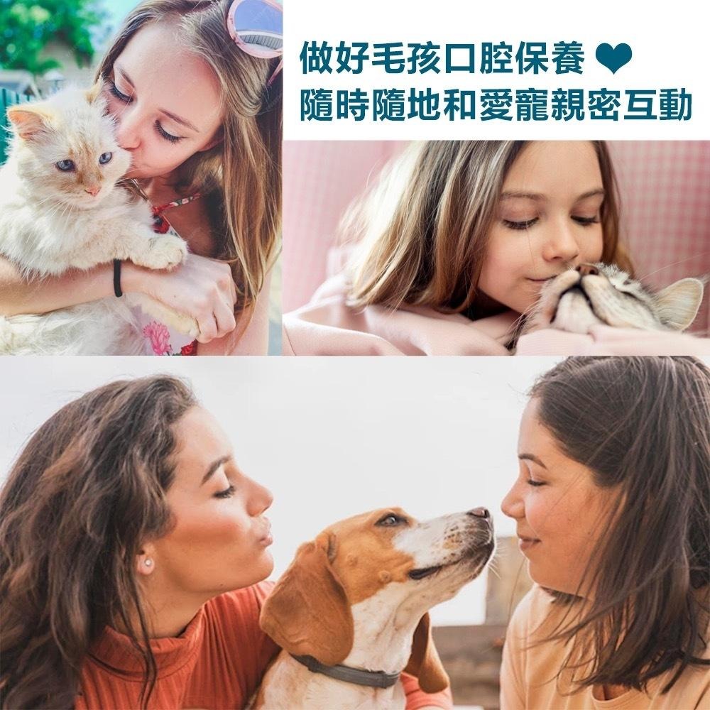 【隔日到貨】ig同款🔥犬貓通用潔牙液 大容量 犬用潔牙液寵物潔牙水 不愛刷牙 口臭 狗狗漱口水 寵物潔牙水-細節圖4