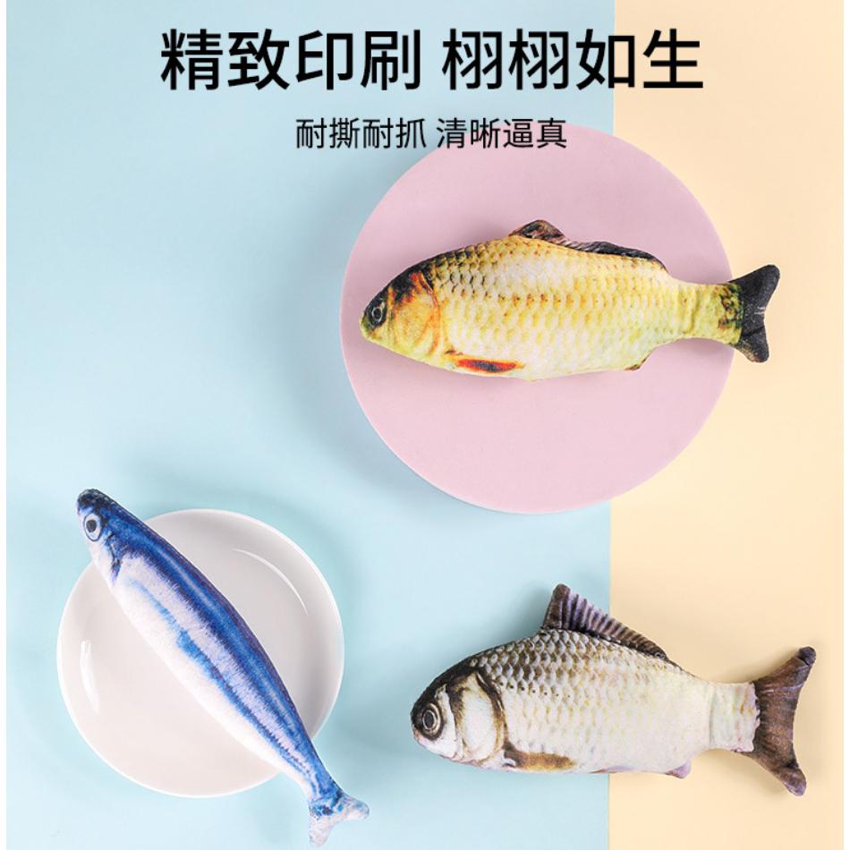 💎在台現貨💎仿真貓薄荷魚抱枕玩具 貓咪玩具 貓薄荷 逗貓棒 貓玩具 貓草包 貓草抱枕 貓草枕 貓草玩具 抱枕-細節圖2