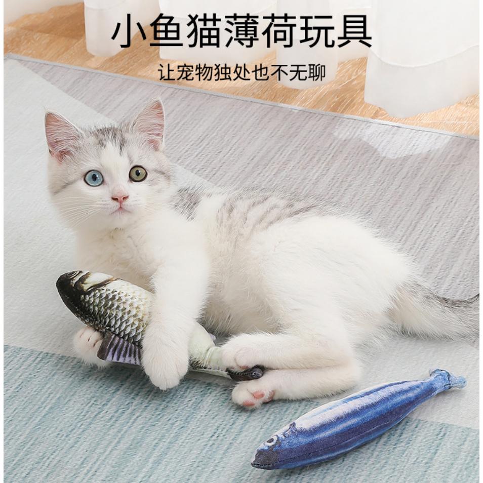 💎在台現貨💎仿真貓薄荷魚抱枕玩具 貓咪玩具 貓薄荷 逗貓棒 貓玩具 貓草包 貓草抱枕 貓草枕 貓草玩具 抱枕-細節圖3