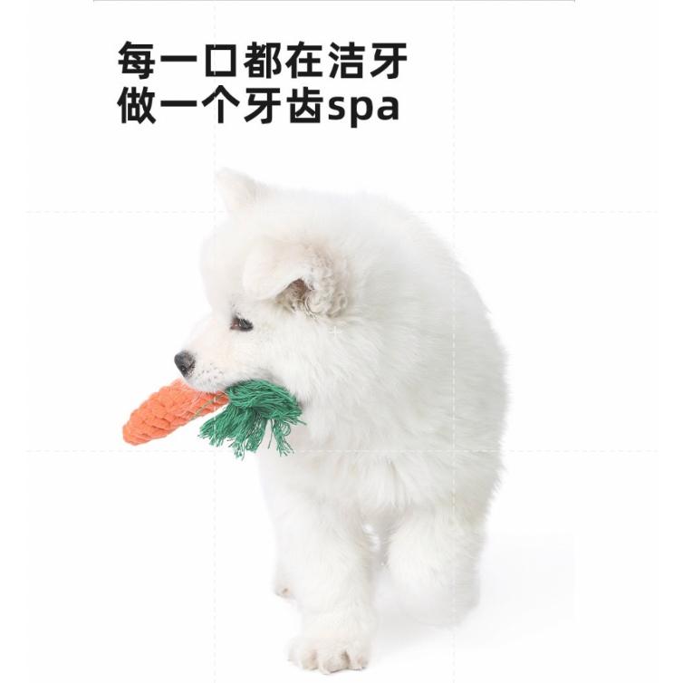 【台灣現貨】虧本下殺🔥紅蘿蔔潔牙耐咬 棉繩 狗玩具 寵物玩具 狗狗玩具 小狗玩具 狗玩具耐咬 耐咬玩具 狗狗耐咬玩具-細節圖2