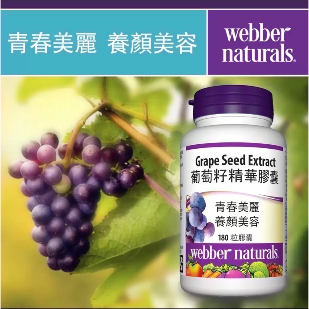 Costco好市多 Webber Naturals 葡萄籽精華膠囊 180顆 Grape Seed Capsule-細節圖2