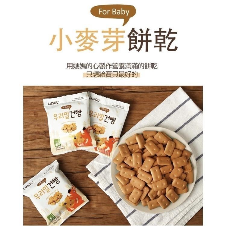 韓國LUSOL 小麥芽餅乾/12個月以上/30g-細節圖6