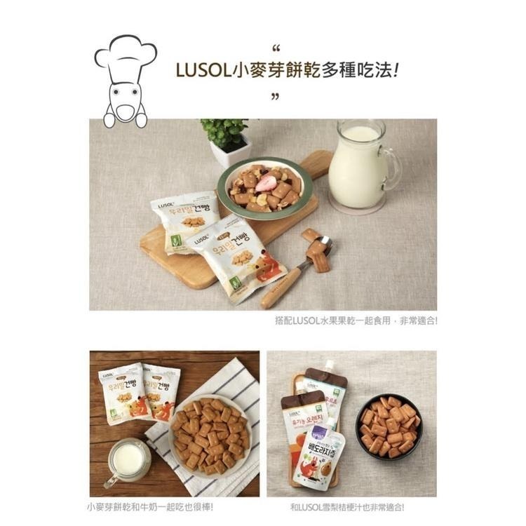 韓國LUSOL 小麥芽餅乾/12個月以上/30g-細節圖8