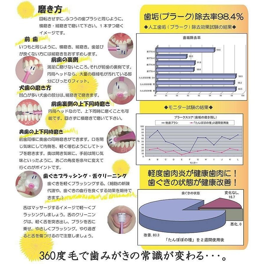 日本 蒲公英360度纖柔刷毛幼兒/兒童牙刷 /寶寶學習牙刷(0~3歲)-細節圖2