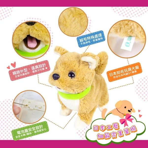 伊娃呀IWAYA甜甜屋-黃金獵犬~日本暢銷電子寵物-細節圖4