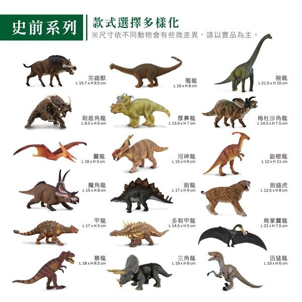 英國 collectA 迷你生物模型  超高擬真(盒裝12入)-細節圖7