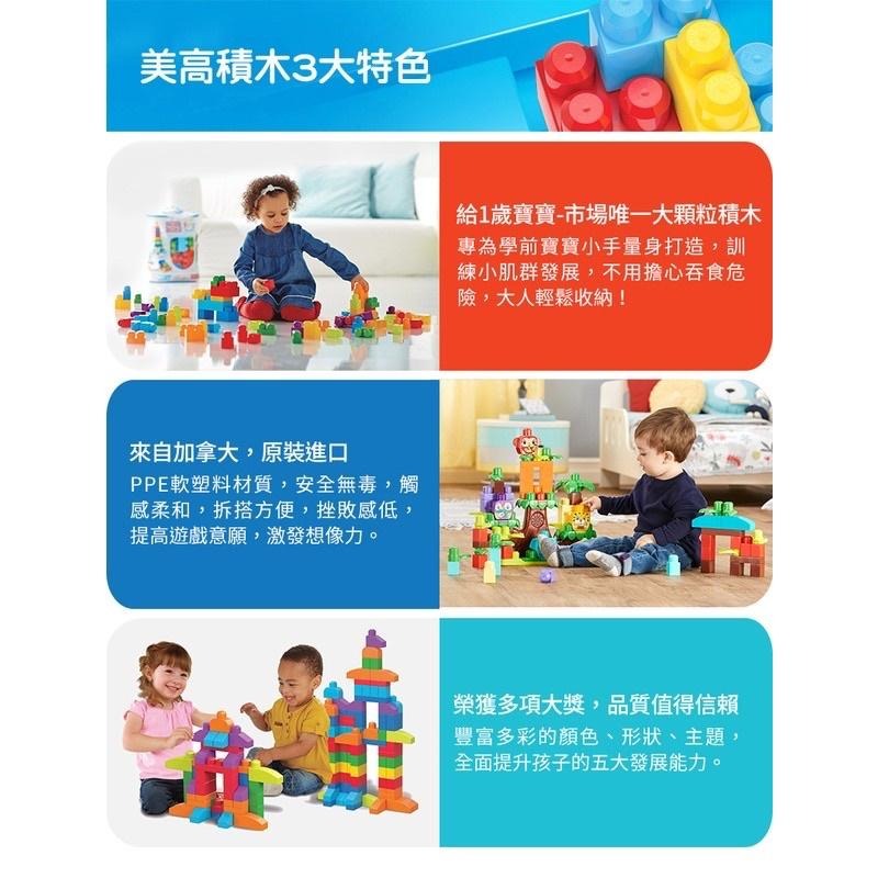 加贈兩小袋積木Fisher-Price 費雪美高 80片積木袋 (2色選擇)-細節圖8