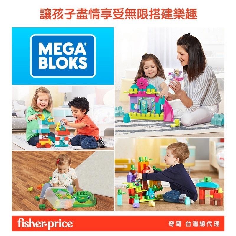 加贈兩小袋積木Fisher-Price 費雪美高 80片積木袋 (2色選擇)-細節圖9