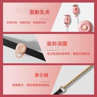 情趣爆款 乳夾震動按摩跳蛋 女性胸部按摩 情趣sm調情調教 女性肛塞玩具 穿戴情趣用品 成人用品 成人玩具-細節圖2