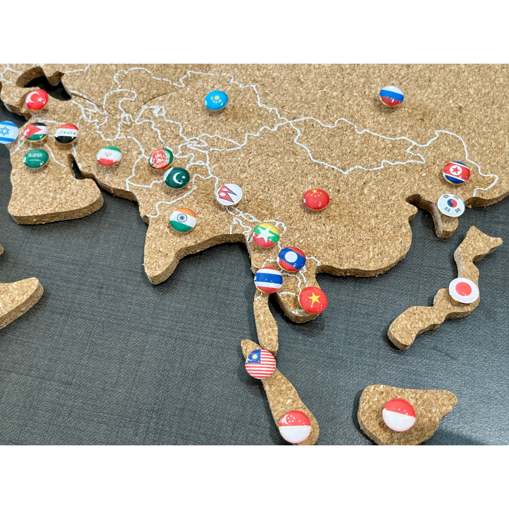 【現貨】精美世界國家國旗圖釘+美國/加拿大/澳洲行政區 291只入 贈台灣🇹🇼國旗圖釘 旅行 世界地圖 交換禮物-細節圖4