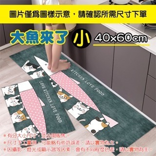 🔥壓紋防滑🔥卡通廚房地墊 廚房長條地墊 廚房地墊 地墊 防滑地墊 吸水地墊 廚房腳踏墊 踏墊 短絨廚房地墊 廚房腳墊-規格圖9