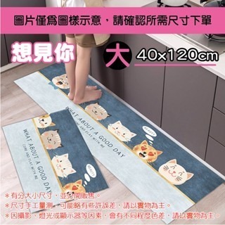 🔥壓紋防滑🔥卡通廚房地墊 廚房長條地墊 廚房地墊 地墊 防滑地墊 吸水地墊 廚房腳踏墊 踏墊 短絨廚房地墊 廚房腳墊-規格圖9