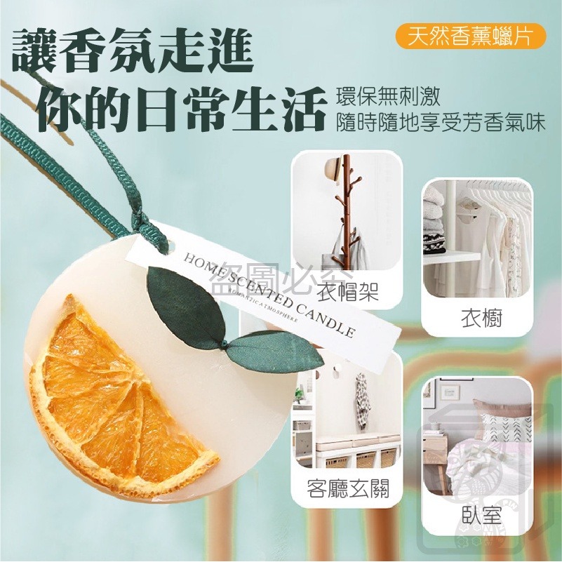 🔥持久留香🔥永生花香薰蠟片 香薰片 植花裝飾香氛蠟片 除味片 固體香氛蠟片 淡香蠟片 香氛蠟片 香味蠟片 掛式香氛-細節圖4