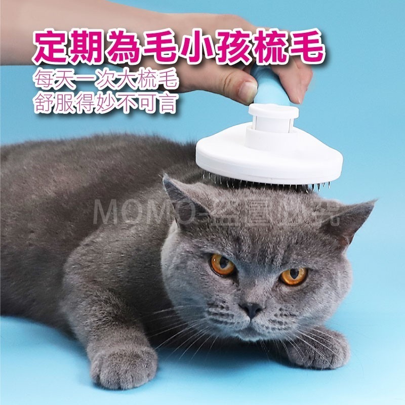 🔥防靜電🔥寵物除毛梳 寵物梳毛 自動褪毛圓頭梳 清潔梳 寵物梳子 狗梳子 貓梳子 貓狗脫毛梳 寵物理毛 寵物脫毛梳-細節圖5