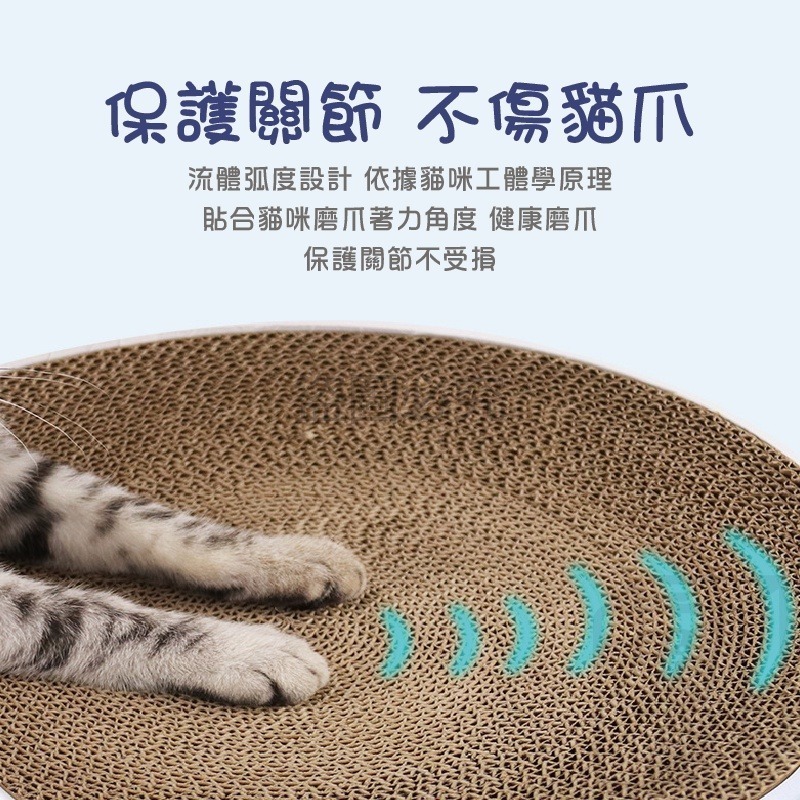 🔥台灣發貨🔥碗型貓抓板 貓抓板 貓咪窩 貓抓窩 碗型板 圓餅貓抓板 貓睡窩 貓咪玩具 可換芯 可水洗-細節圖6