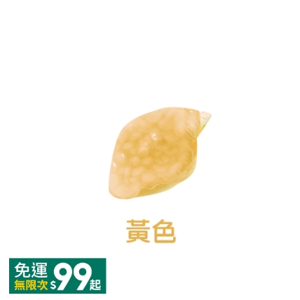 香豆-晨曦小蒼蘭｜1顆｜下50顆送束口袋