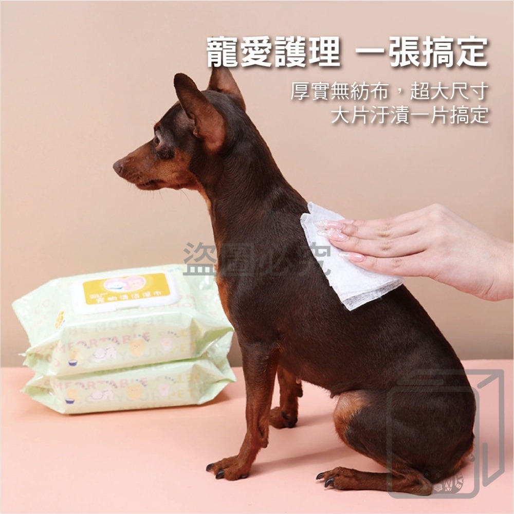 ✨無香精✨寵物專用濕紙巾 寵物濕巾 擦澡手套 手套濕巾 寵物濕巾 寵物免洗 清潔濕紙巾 寵物濕巾 寵物用品 清潔 除臭-細節圖5