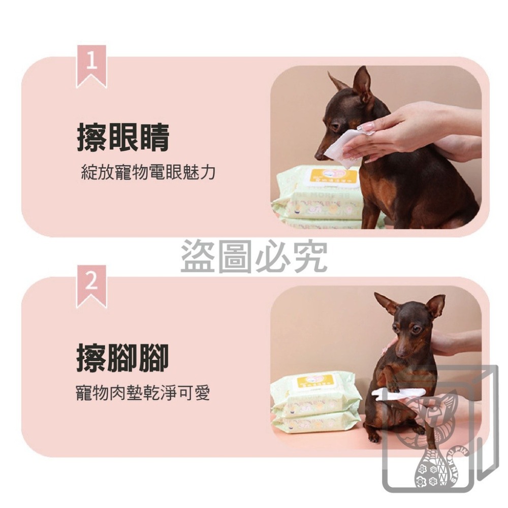 ✨無香精✨寵物專用濕紙巾 寵物濕巾 擦澡手套 手套濕巾 寵物濕巾 寵物免洗 清潔濕紙巾 寵物濕巾 寵物用品 清潔 除臭-細節圖8