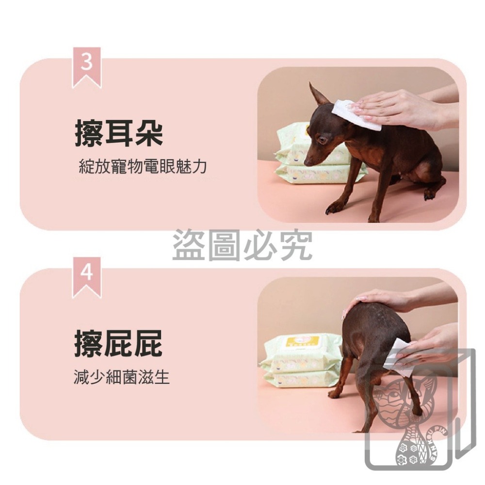 ✨無香精✨寵物專用濕紙巾 寵物濕巾 擦澡手套 手套濕巾 寵物濕巾 寵物免洗 清潔濕紙巾 寵物濕巾 寵物用品 清潔 除臭-細節圖9