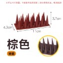 棕色】一截 防鳥刺