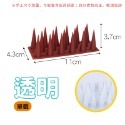 透明】一截 防鳥刺
