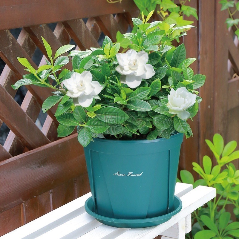 🔥台灣發貨🔥青山控根花盆 青山盆 控根盆 透氣盆 蘭花盆 戶外花盆 種菜盆 盆栽園藝花盆 花盆 大花盆 多肉盆 觀葉-細節圖9