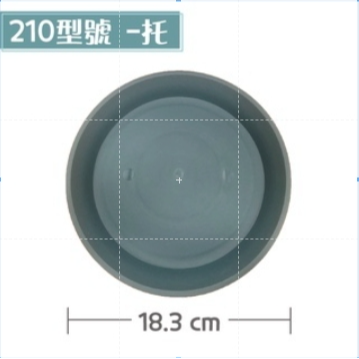 210 【托盤】青山控根