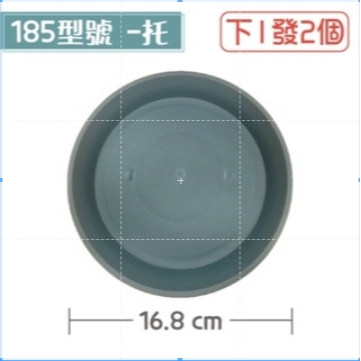 185 <2個> 【托盤】青山控根