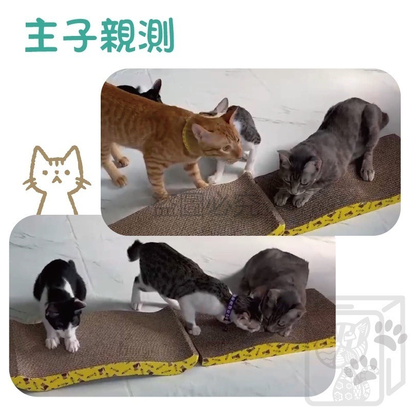 🔥台灣發貨🔥SW波浪貓抓板 貓抓板 S型貓抓板W型貓抓板 波浪型超硬貓抓板 貓抓 瓦楞紙 W型 貓咪玩具 不掉削抓板-細節圖8