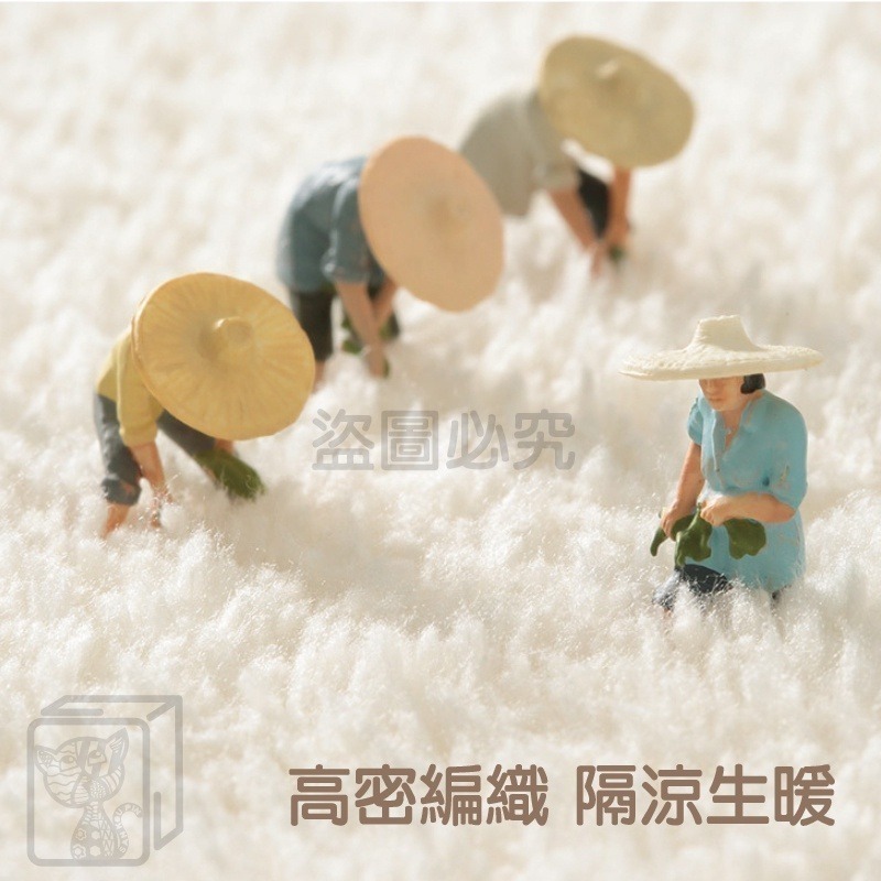 🔥高密編織🔥羊羔絨床邊地墊 簡約羊羔絨地毯 加厚羊毛絨地墊 床邊踏墊 沙發防滑墊 腳踏墊 親膚加厚軟墊 北歐地墊-細節圖8