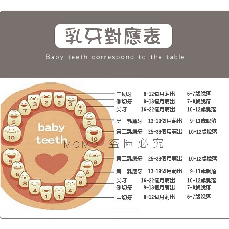 ✨台灣現貨✨乳牙收納盒 胎毛臍帶收集盒 牙齒收納盒 乳牙儲存盒 寶寶乳牙盒 牙齒記錄 牙齒實木盒 兒童生日禮物-細節圖8
