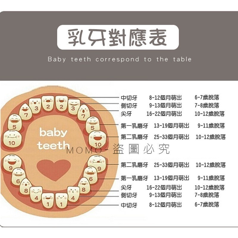 ✨台灣現貨✨乳牙收納盒 胎毛臍帶收集盒 牙齒收納盒 乳牙儲存盒 寶寶乳牙盒 牙齒記錄 牙齒實木盒 兒童生日禮物-細節圖8