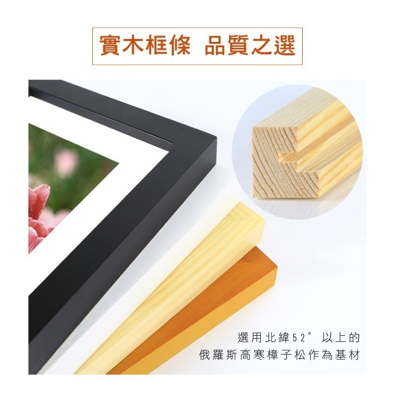 🔥台灣發貨🔥曼陀羅拼圖 高難度動物立體拼圖 異形木質拼圖 不規則立體拼圖 創意拼圖玩具 3D立體拼圖 動物拼圖 木製-細節圖9