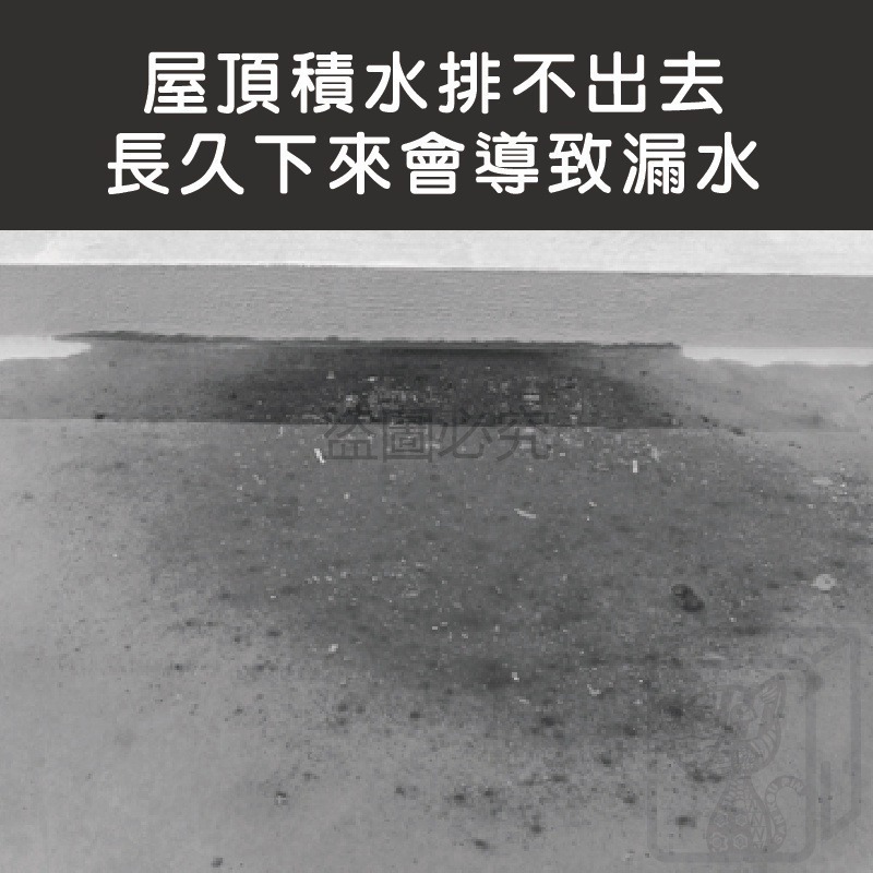 🔥台灣發貨🔥排水孔防堵罩 超速排水罩 不鏽鋼排水孔防堵罩 排水孔濾網 防淤泥 防蟲 排水順暢防淹水防堵罩 颱風防堵罩-細節圖4