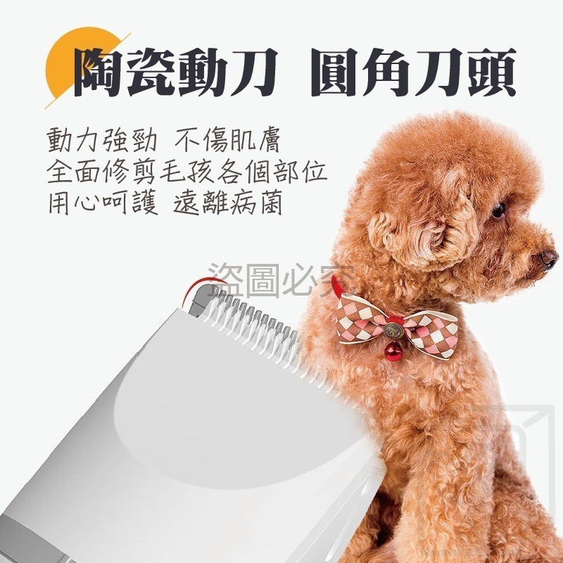 🔥​批發價零售賣🔥多刀頭寵物剃毛器 附11配件 防水多功能電剪 平價寵物電剪 無線剃毛器 寵物美容 電動剃刀-細節圖5