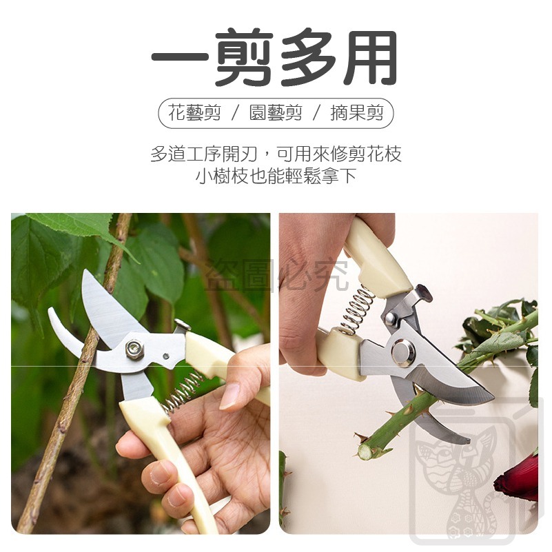 現貨🔥修剪小能手🔥盆栽修飾 園藝剪刀 樹枝修剪 花園剪刀 樹枝花枝修剪 盆栽修剪 剪刀 花園剪 直剪彎剪 園藝剪-細節圖5