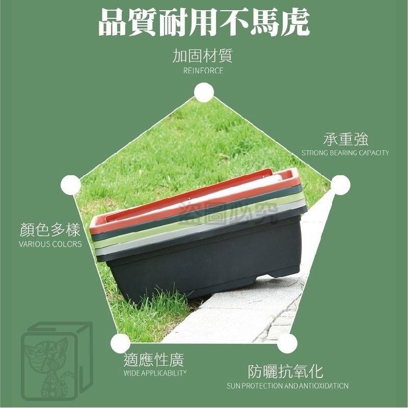 🔥台灣現貨🔥霍倫種菜盆長型花盆 蓄水花盆 種菜盆 長型花槽 長盆 花盆 霍倫盆 青山盆 陽台花盆 控根花盆 塑膠花盆-細節圖6