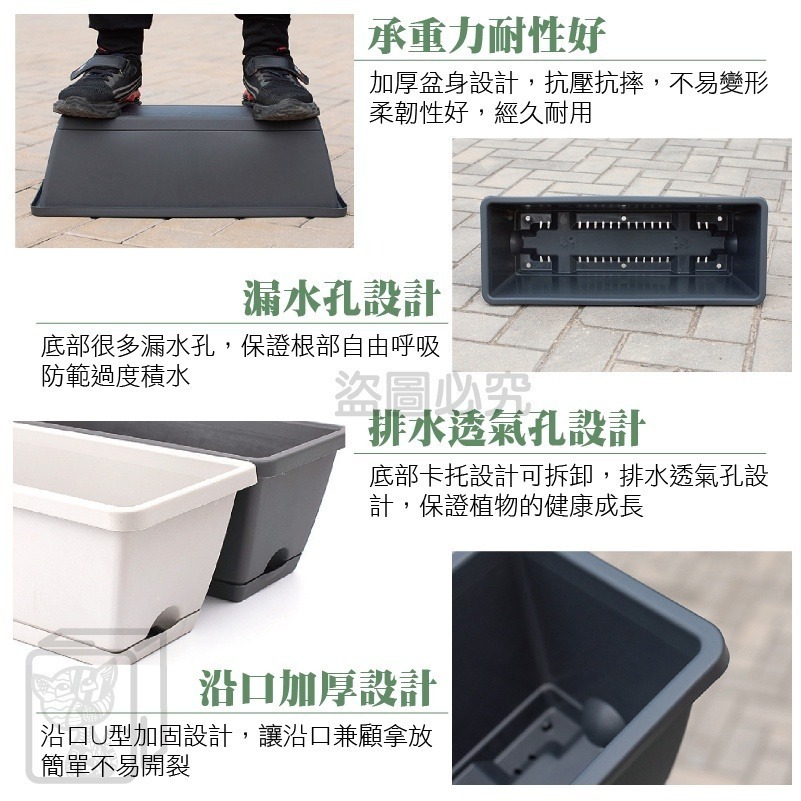 🔥台灣現貨🔥霍倫種菜盆長型花盆 蓄水花盆 種菜盆 長型花槽 長盆 花盆 霍倫盆 青山盆 陽台花盆 控根花盆 塑膠花盆-細節圖9