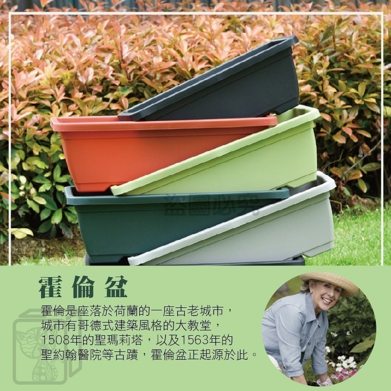 🔥台灣現貨🔥霍倫種菜盆長型花盆 蓄水花盆 種菜盆 長型花槽 長盆 花盆 霍倫盆 青山盆 陽台花盆 控根花盆 塑膠花盆-細節圖4