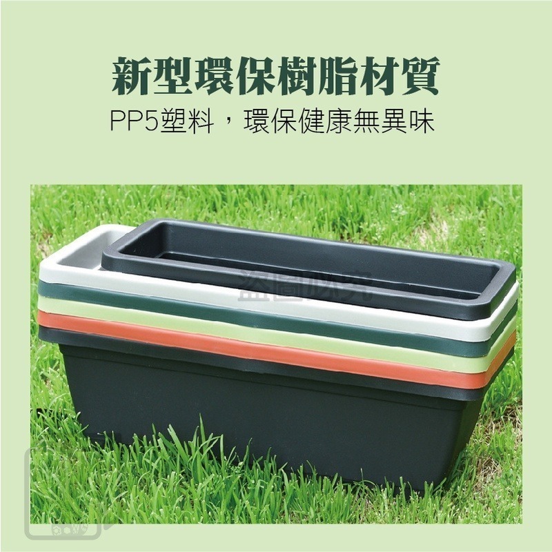 🔥台灣現貨🔥霍倫種菜盆長型花盆 蓄水花盆 種菜盆 長型花槽 長盆 花盆 霍倫盆 青山盆 陽台花盆 控根花盆 塑膠花盆-細節圖8