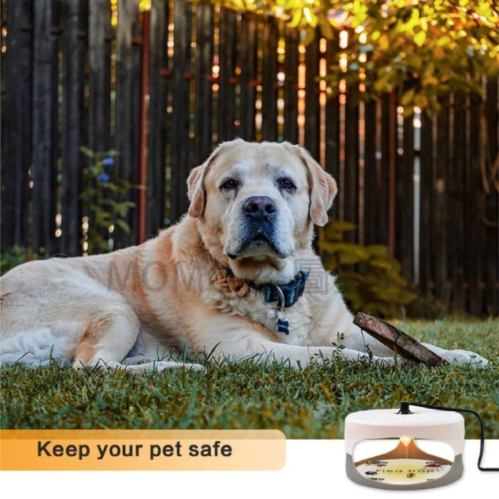 🔥台灣現貨🔥跳蚤誘捕器 寵物捕蚤燈 跳蚤粘捕器 家用跳蚤燈 補蚤燈 捕跳蚤 黏蚤用品 捕蟲燈 寵物除蟲 安全無毒-細節圖5