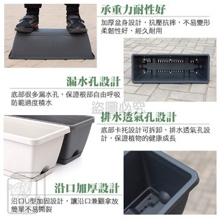 🔥台灣現貨🔥霍倫種菜盆 長型花盆 蓄水花盆 種菜盆 長型花槽 長盆  霍倫盆 青山盆 陽台花盆 控根花盆 塑膠花-細節圖3