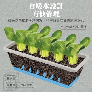 🔥台灣現貨🔥霍倫種菜盆 長型花盆 蓄水花盆 種菜盆 長型花槽 長盆  霍倫盆 青山盆 陽台花盆 控根花盆 塑膠花-細節圖6