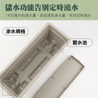 🔥台灣現貨🔥霍倫種菜盆 長型花盆 蓄水花盆 種菜盆 長型花槽 長盆  霍倫盆 青山盆 陽台花盆 控根花盆 塑膠花-細節圖7