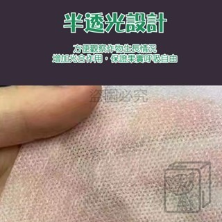 🔥重複使用🔥水果袋 無紡布水果袋 水果網袋 水果套袋 葡萄袋 芭樂袋 可防鳥啄 防蟲網袋 芒果袋 水果套子 網紗袋-細節圖8