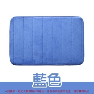 藍色 珊瑚絨地墊