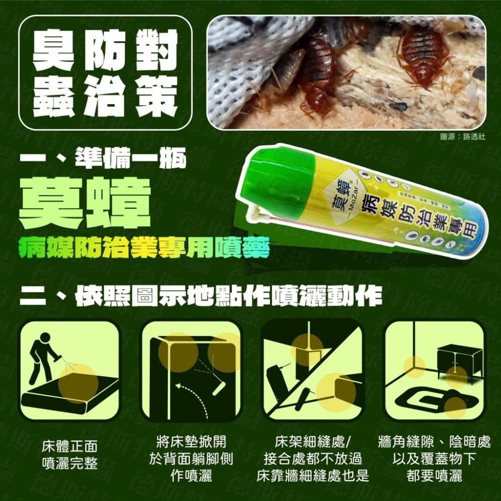 🔥現貨🔥莫蟑 臭蟲殺蟲劑 550ML 床蝨 無味版殺蟲劑 跳蚤 螞蟻 蟑螂 臭蟲 噴霧式殺蟲劑 殺蟲劑 專治臭蟲 專-細節圖3