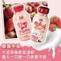 國農牛奶(215ml*6瓶/組)國農牛乳/保久乳【F2】-規格圖5